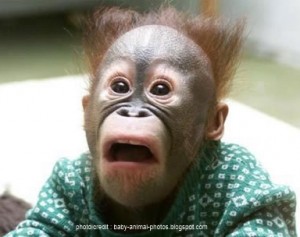 a baby monkey with a funny face