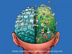 a human brain with different stages of life