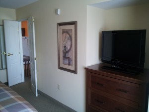 a bedroom with a bed and a television