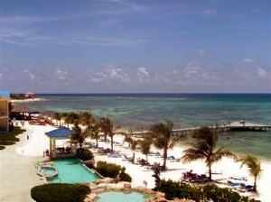 a view of a beach with palm trees and a pier