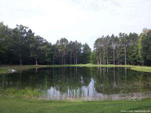 a lake surrounded by trees