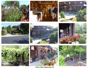 a collage of different pictures of a house