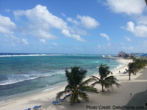 a beach with palm trees and blue water