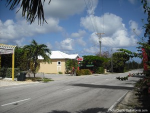 a street with a house and palm trees
