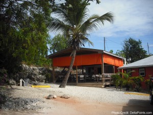 a building with a palm tree