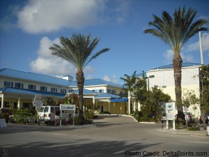 a palm trees in front of a hotel