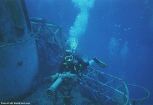 a scuba diver in the water