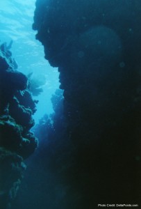 a close-up of a rock formation