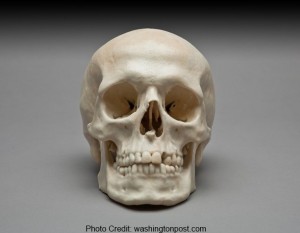 a close-up of a skull