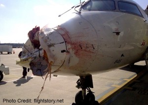 atlantic_southeast_delta_birdstrike