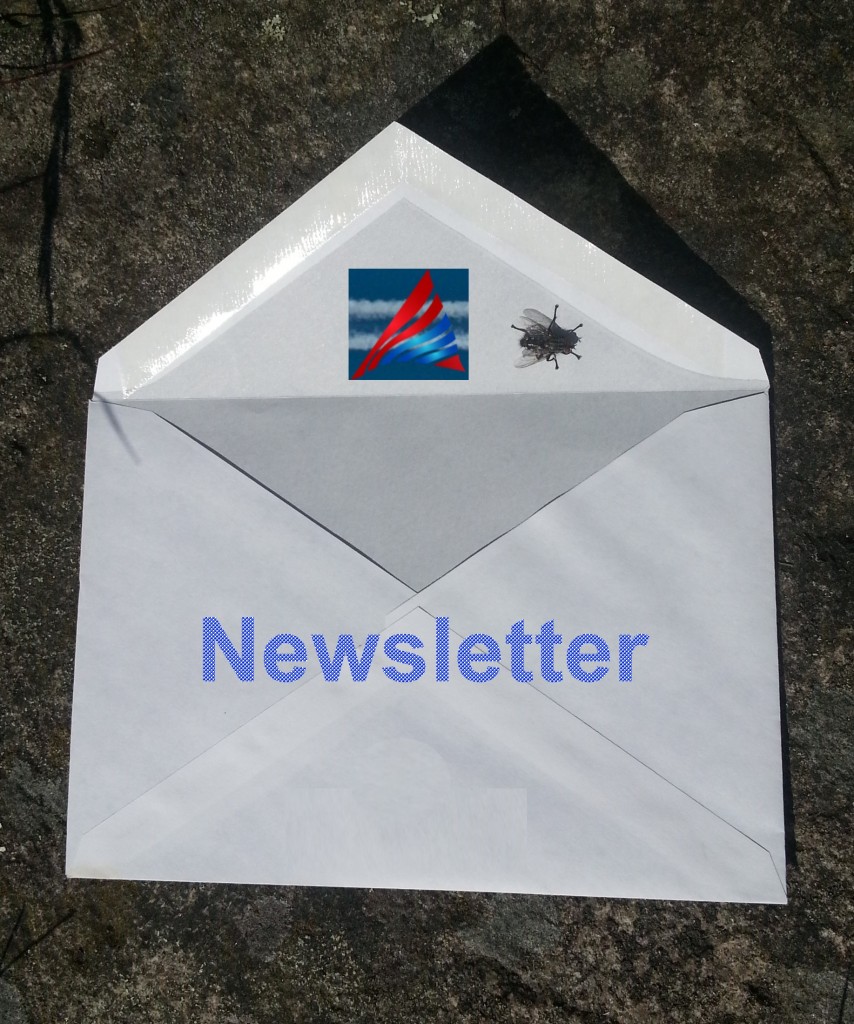 Delta Points July 2015 Newsletter Eye of the Flyer