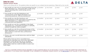 Delta after flight suvey delta points blog