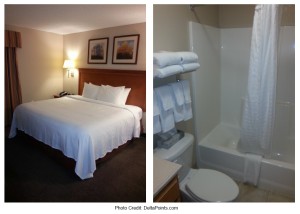 Candlewood Suites Kenosha WI delta points blog king suite 2
