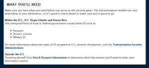 what you will need to fly delta air lines delta-com web site info