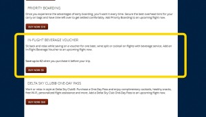 buy delta drink coupons before your flight for 5 bucks each