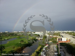 view from club lounge sheration mia airport delta points blog