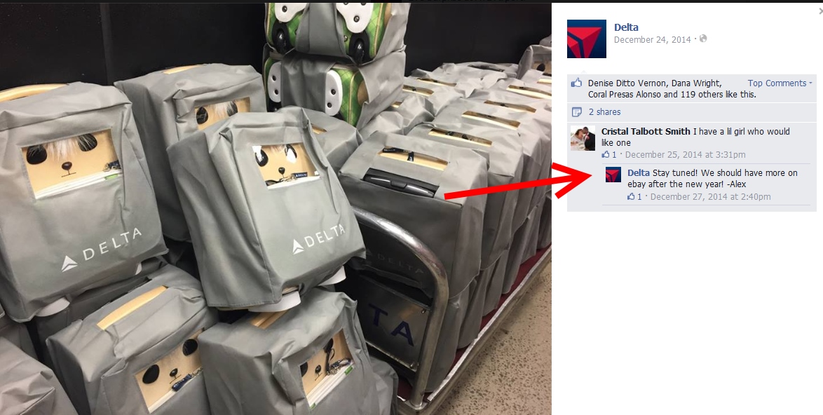 Delta now selling #BearBags on EBAY! What? It’s OK, they are doing it for the right reasons!