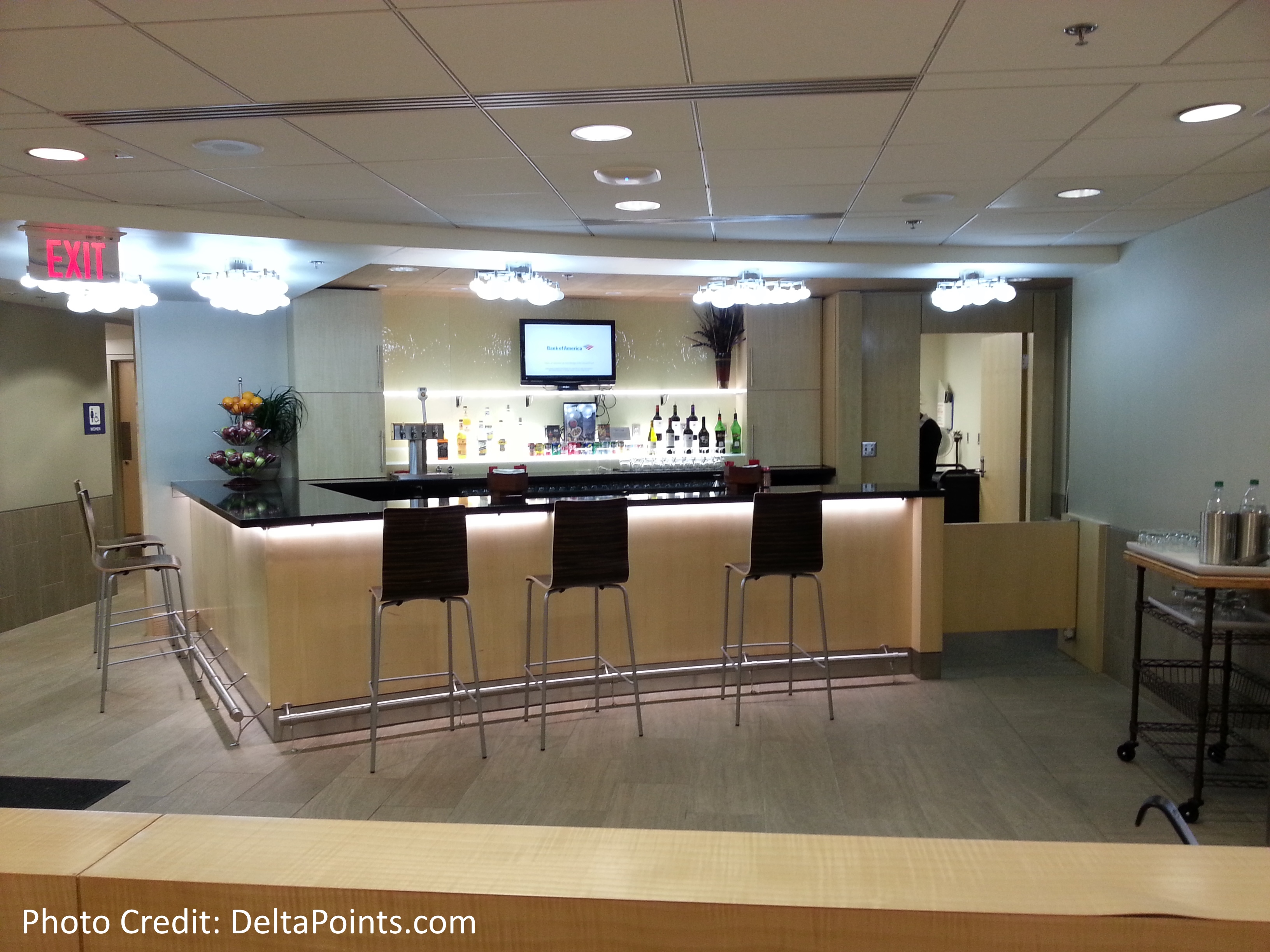 DFW Dallas / Fort Worth “E” Delta Skyclub – 2015 Delta Mileage Run