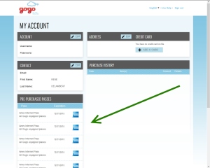 my 10 free amex gogo passes have loaded into my account