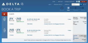 1 million miles for two to fly delta business class nyc to south africa