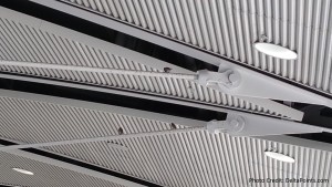 lots of birds inside dtw airport delta points blog