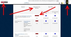 way back machine delta bag fees site