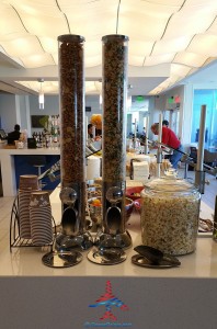 Delta Sky Club Atlanta F International Terminal SkyDeck review RenesPoints blog (14)