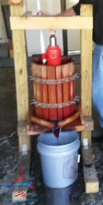 making wine pure michigan grapes travel joy (1)