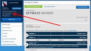 my wifes skymiles spend for 2015