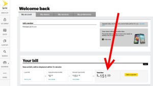 over payment credit balance for my sprint bill for amex credit