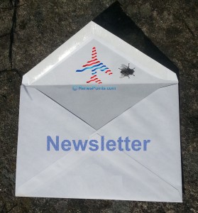 renes points newsletter logo