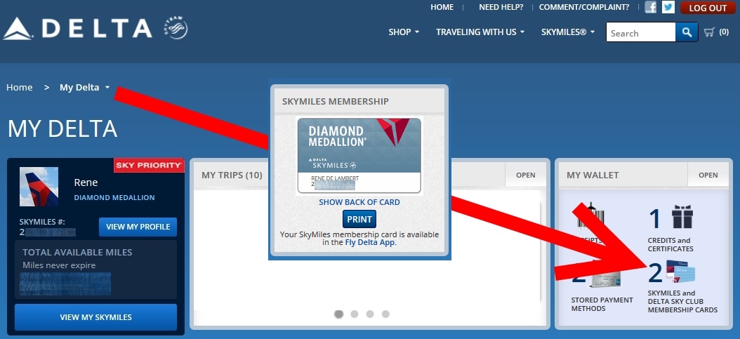 How to order your own “real”-ish Delta SkyMiles replacement cards.