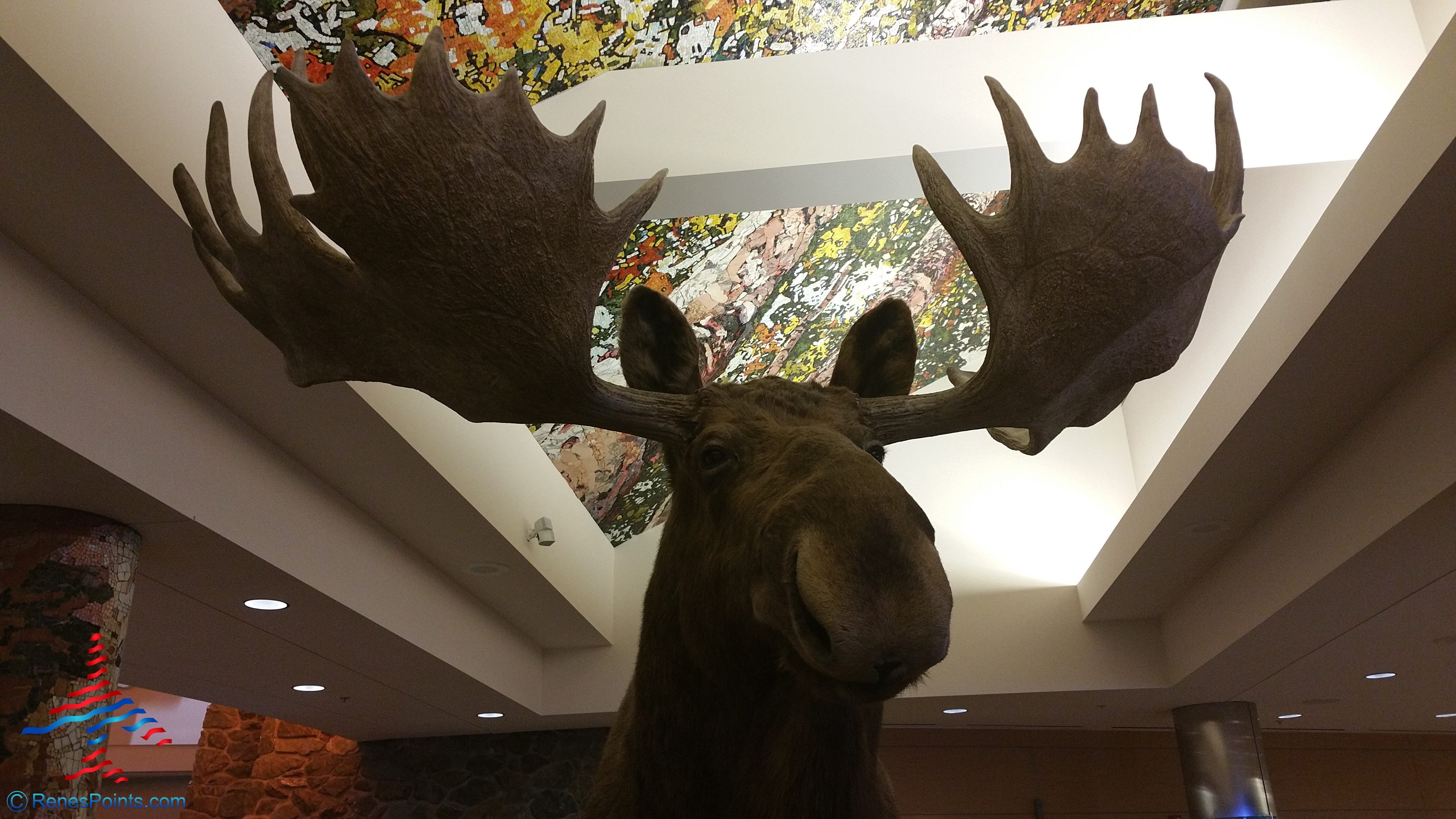 An Alaska Delta Elite Mileage Run: The ANC Alaska Board Room review