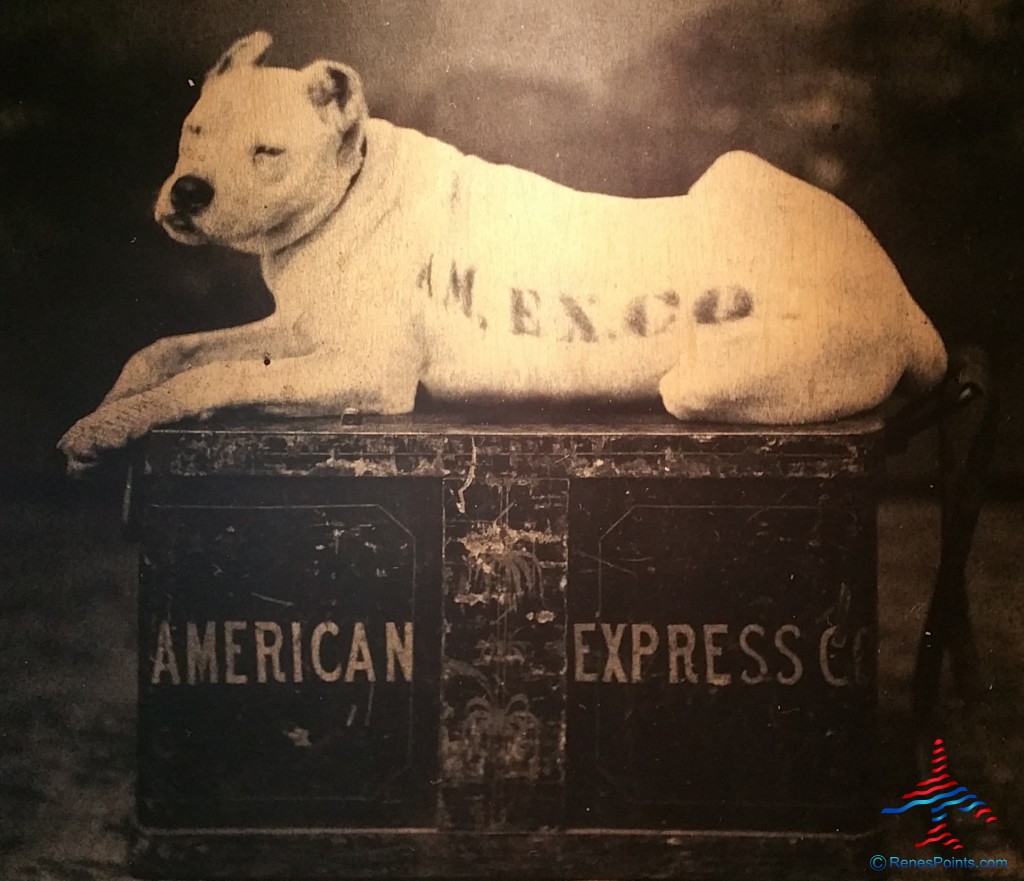 a dog lying on a box