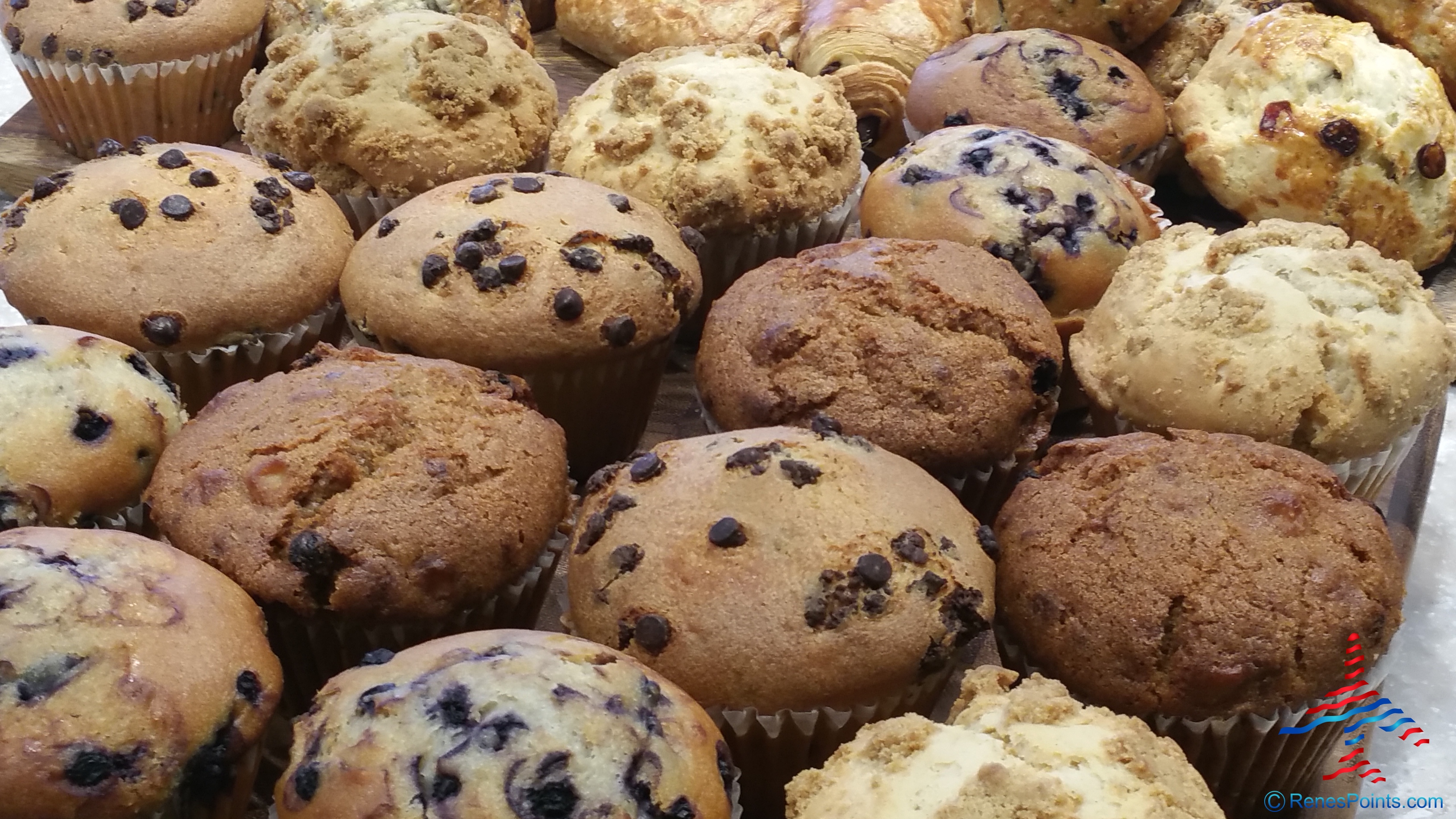 Escape lounge now open at Minneapolis MSP Airport. Opening day review by Eye of the Flyer