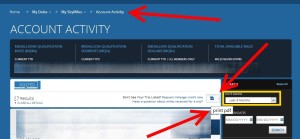 print a pdf of your skymiles acctivity before 2016