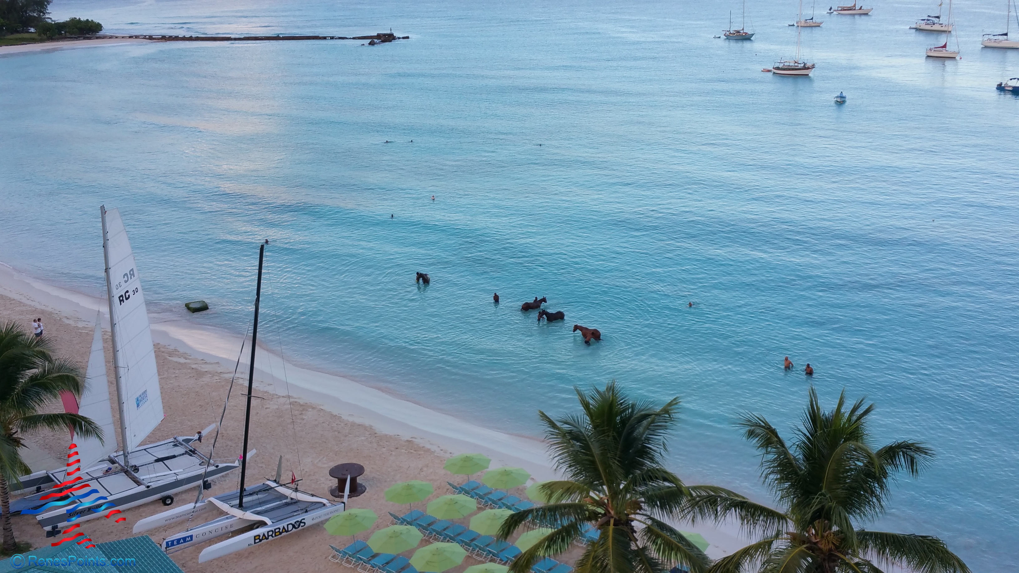 Trip report: Radisson Aquatica Resort Barbados by Club Carlson