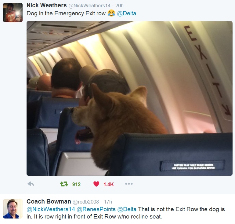 So is that really a HUGE DOG in the Delta exit row (window seat)? Maybe yes, maybe not!