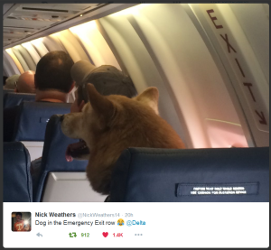 from nick weathers twitter