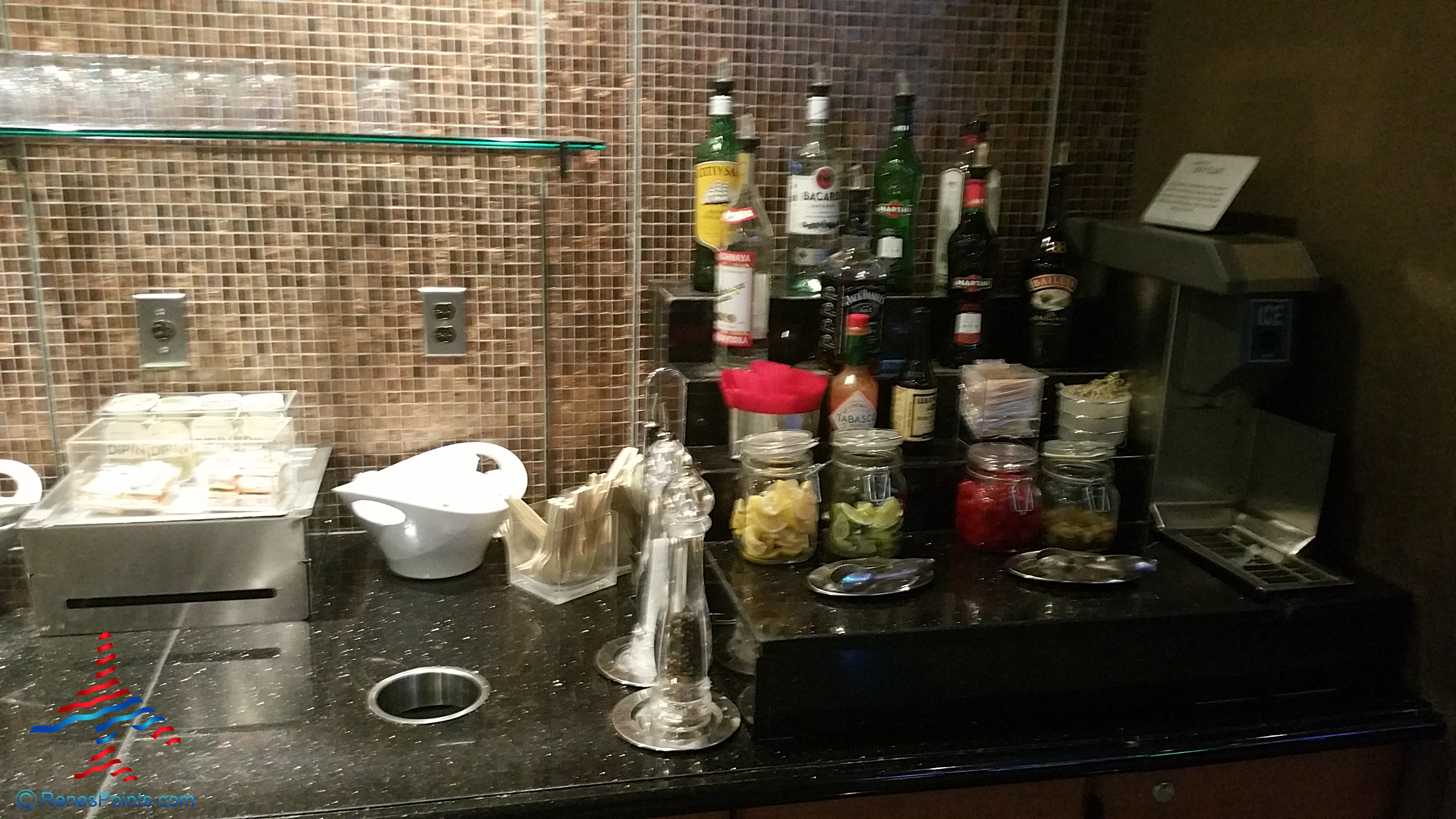 Delta Sky Club Detroit & Minneapolis reviews – DTW central A club by Renes Points