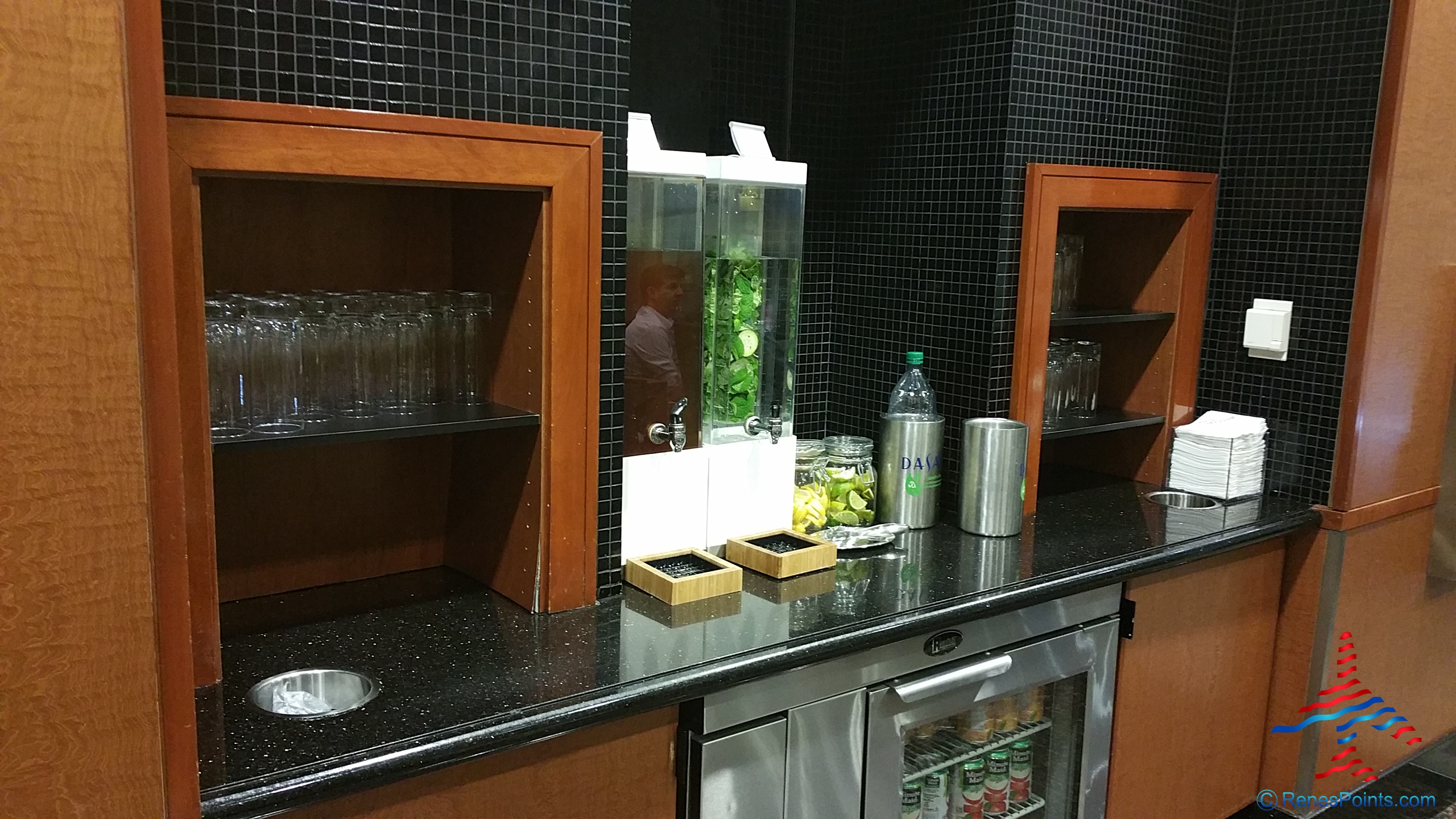 Delta Sky Club Detroit & Minneapolis reviews – DTW central A club by Renes Points