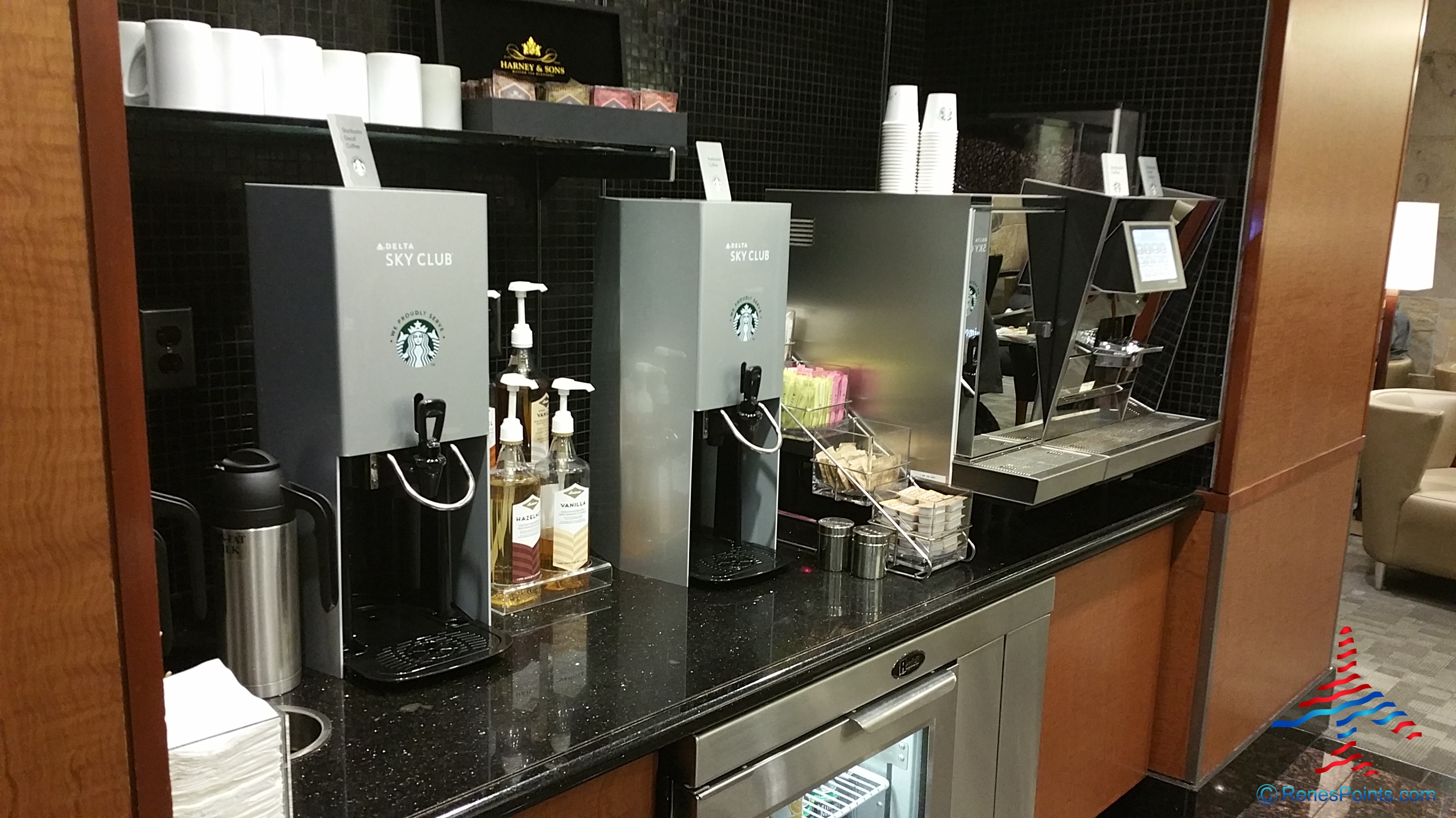 Delta Sky Club Detroit & Minneapolis reviews – DTW central A club by Renes Points