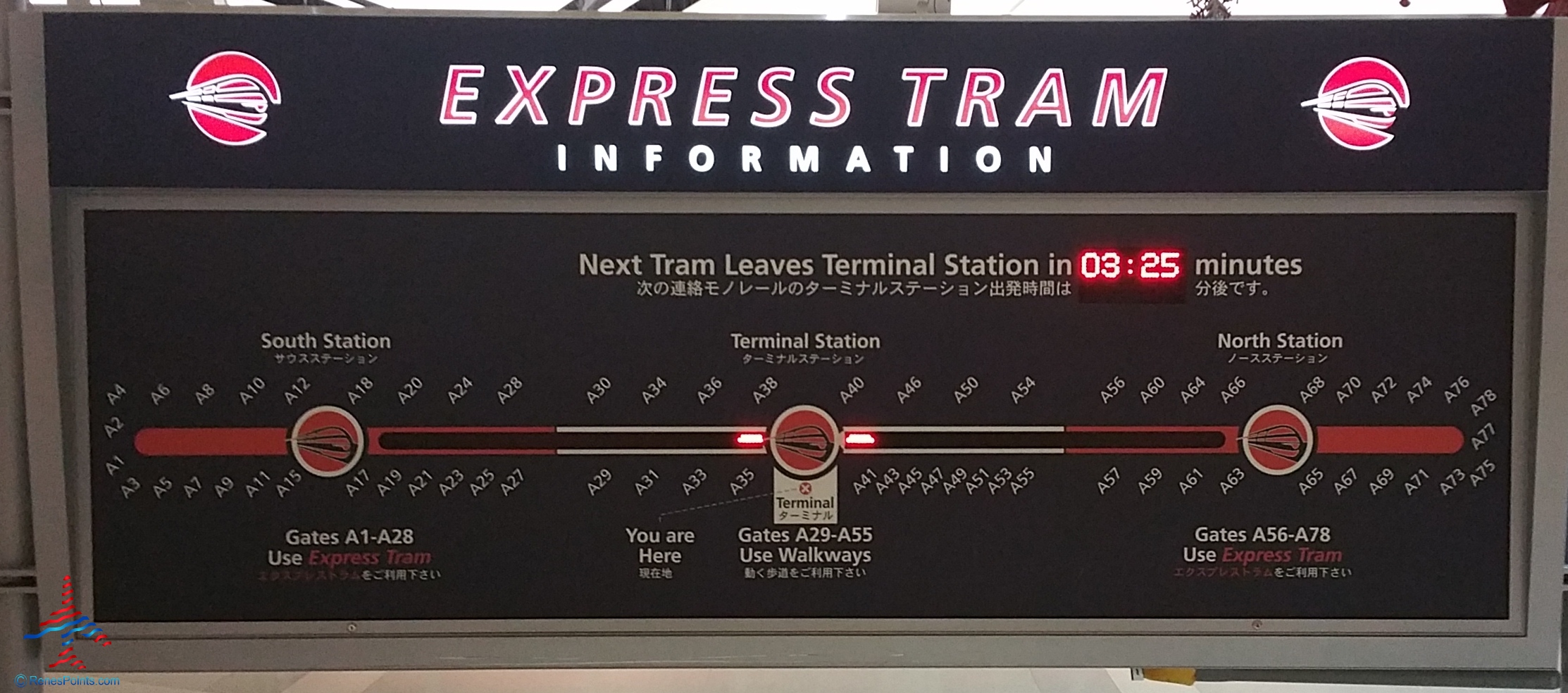 Delta Sky Club Detroit & Minneapolis reviews – DTW central A club by Renes Points