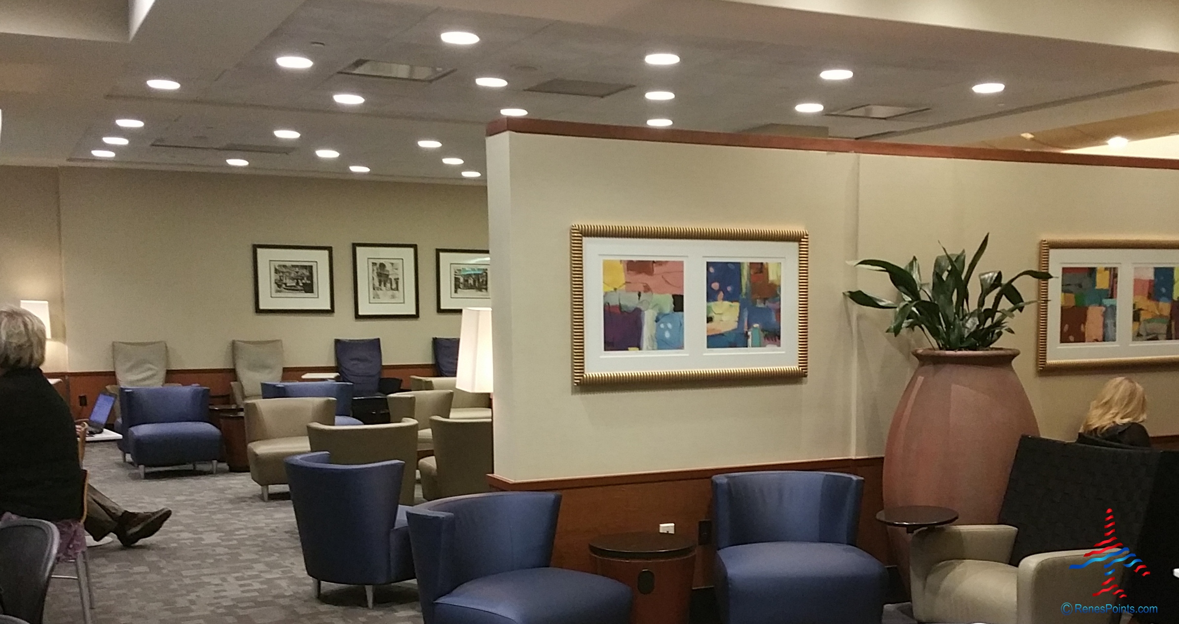 Delta Sky Club Detroit & Minneapolis reviews – DTW central A club by Renes Points