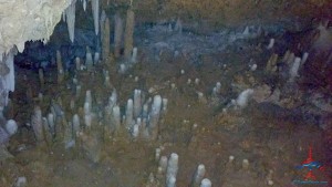 Harrisons Cave Barbados review Renes Points blog (5)