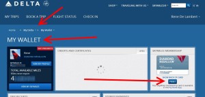 print my skymiles card from my delta my wallet