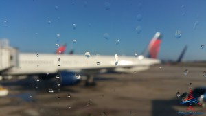 rene mco delta mileage run renespoints blog (11)