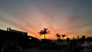 rene mco delta mileage run renespoints blog (18)