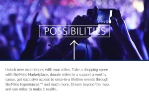 more miles for spending too much on Delta tickets for skymiles 2015 renespoints blog 4