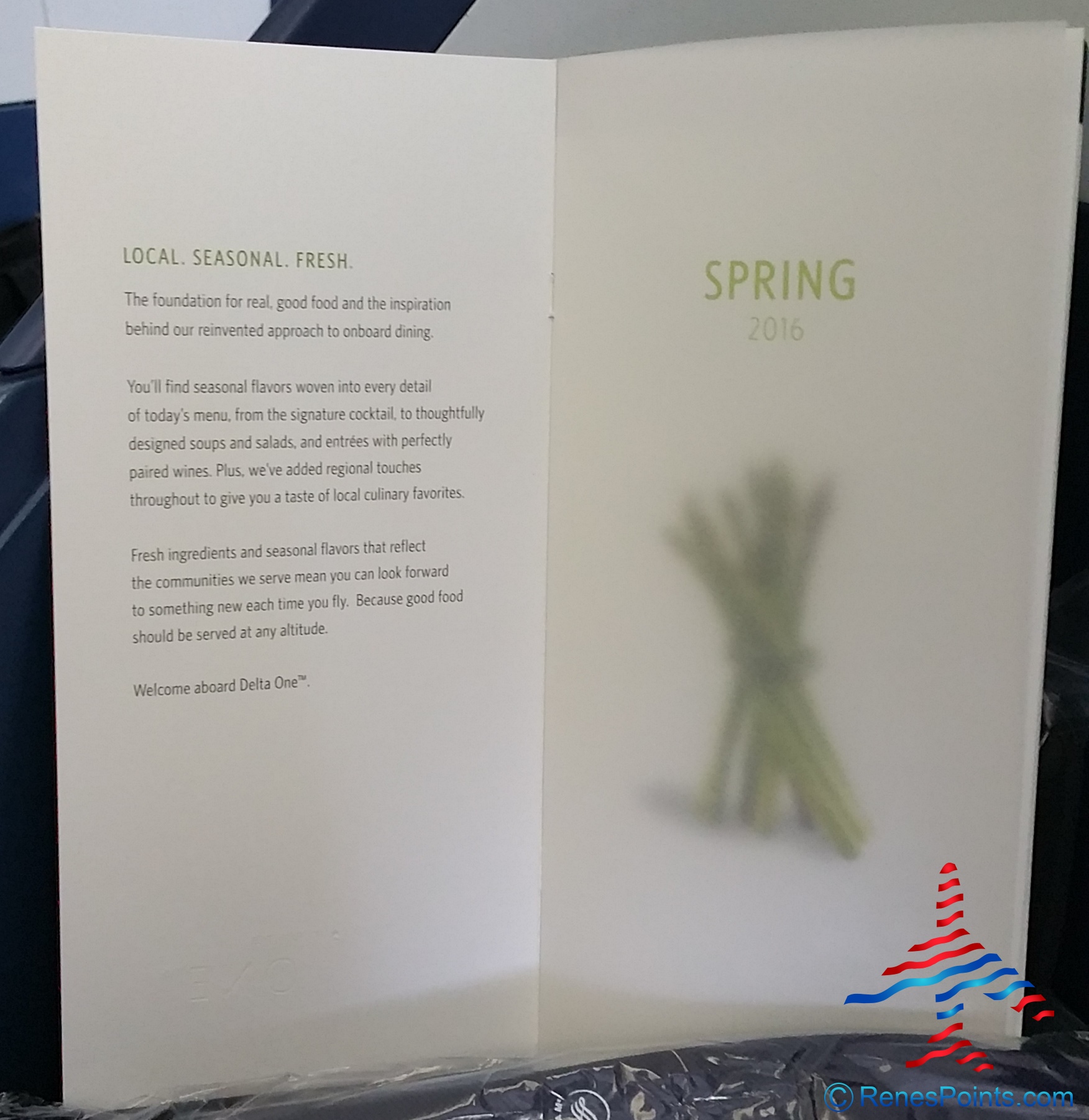 My Delta Million Miler flight – Delta 777 Delta One Business class review to Japan NRT Narita Airport